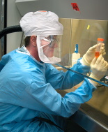 Coronavirus, Oms teme il peggio. In Cina scoperto nuovo virus pandemico
